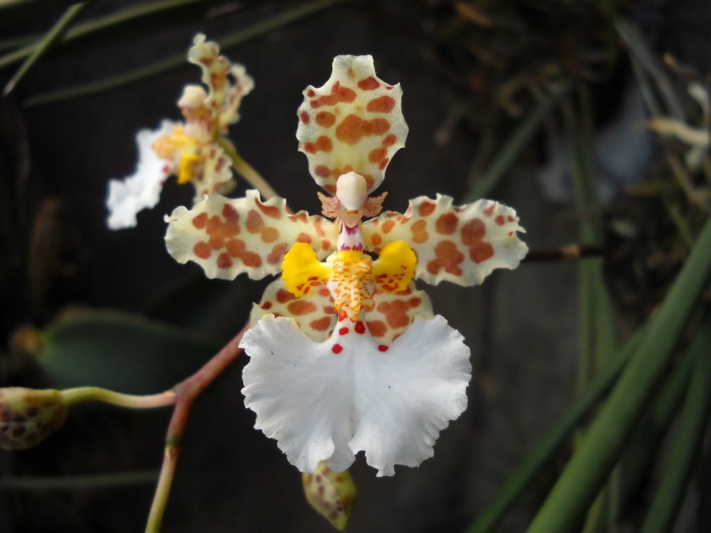 DSCN1228.jpg