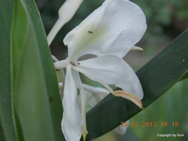 DSCN1228.JPG