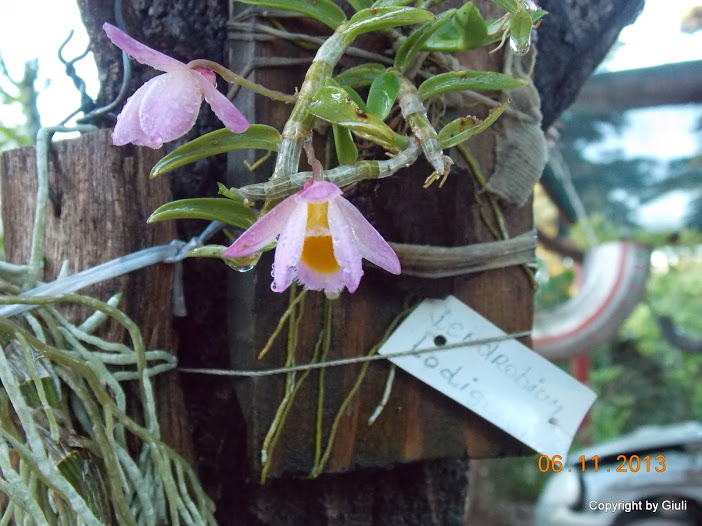 DSCN1228.JPG