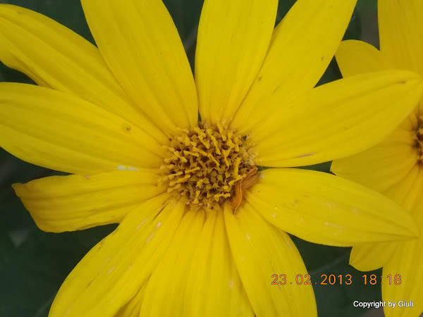 DSCN1229.JPG