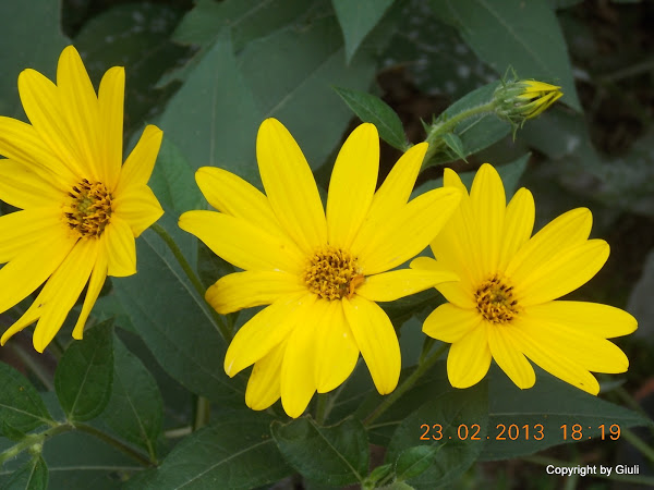 DSCN1230.JPG