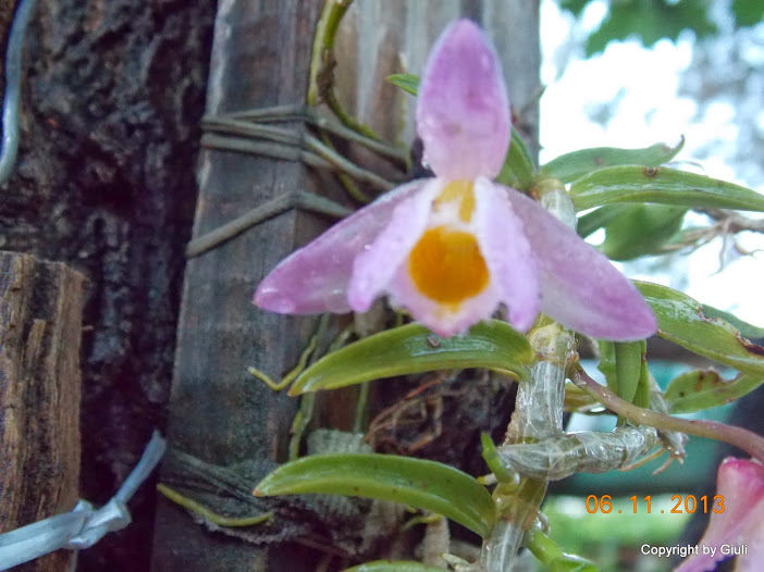 DSCN1232.JPG