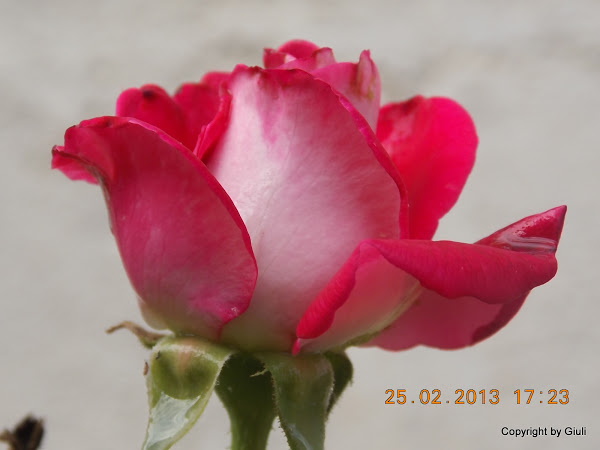 DSCN1235.JPG