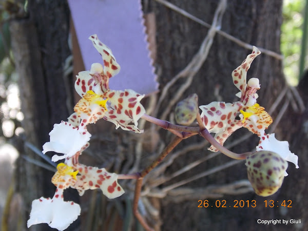 DSCN1237.JPG