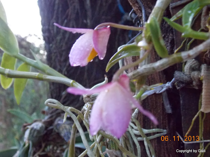 DSCN1237.JPG