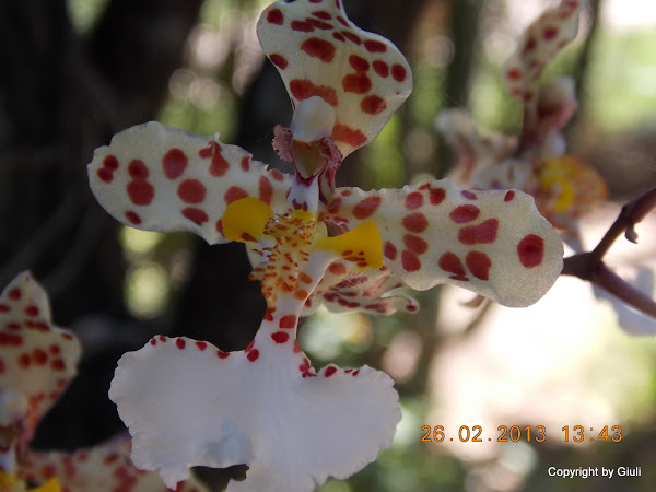 DSCN1238.JPG