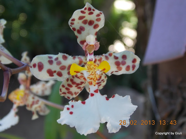 DSCN1239.JPG