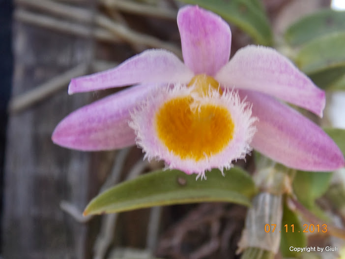DSCN1240.JPG