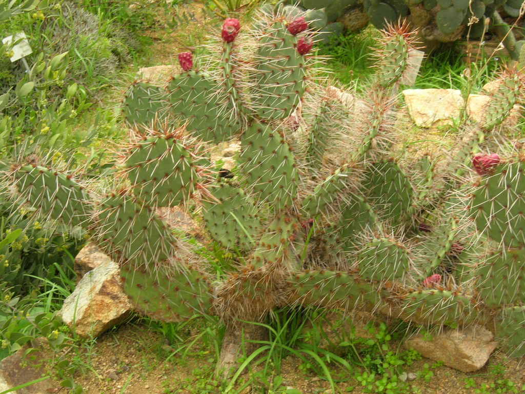 DSCN1241.jpg