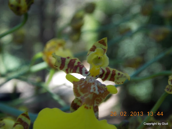DSCN1242.JPG