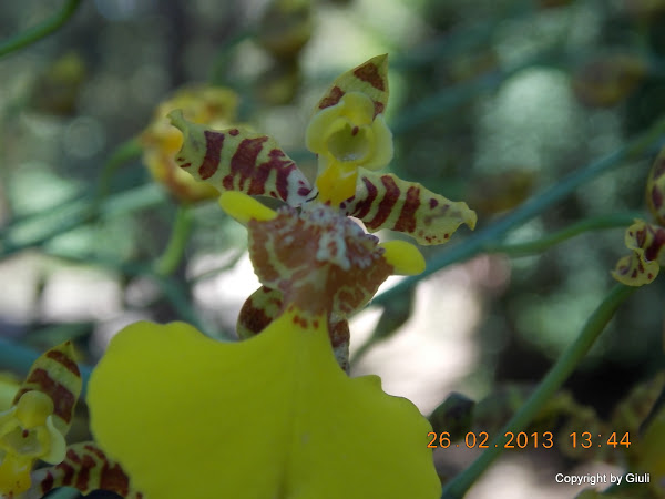 DSCN1243.JPG