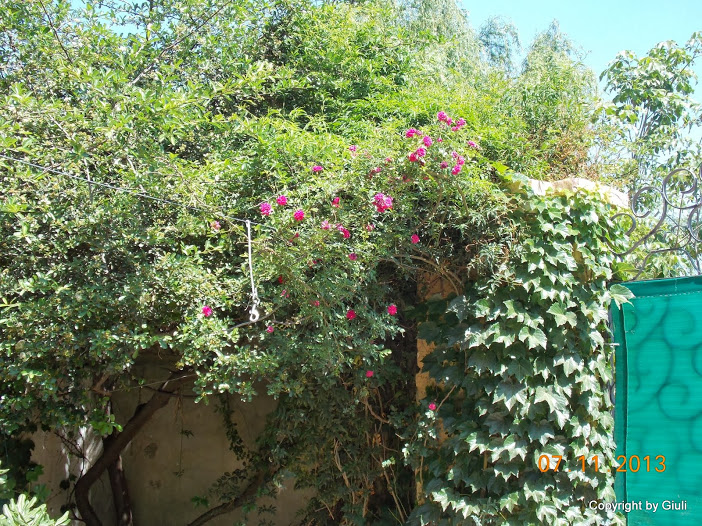 DSCN1245.JPG