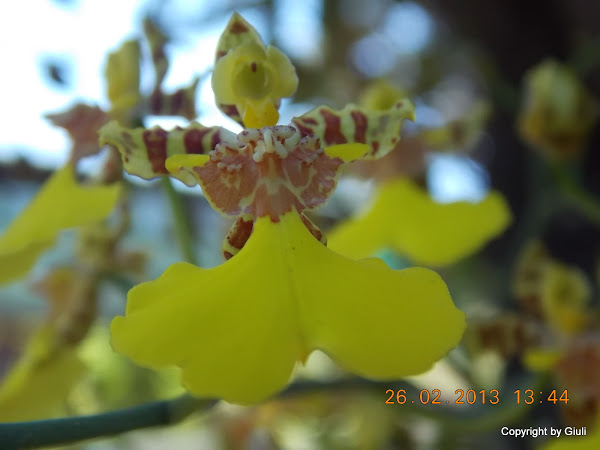 DSCN1246.JPG