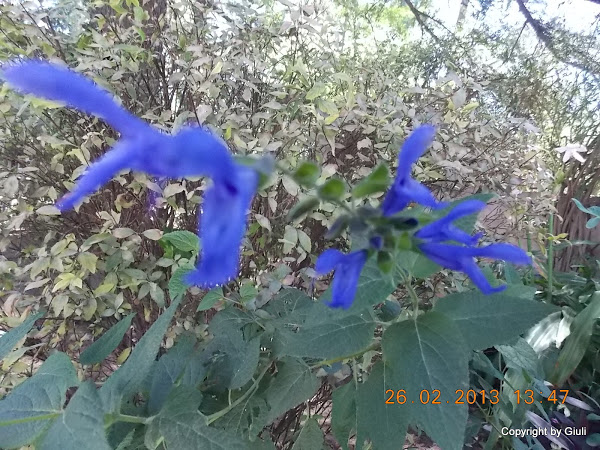 DSCN1248.JPG