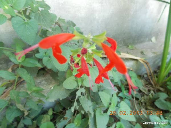 DSCN1249.JPG