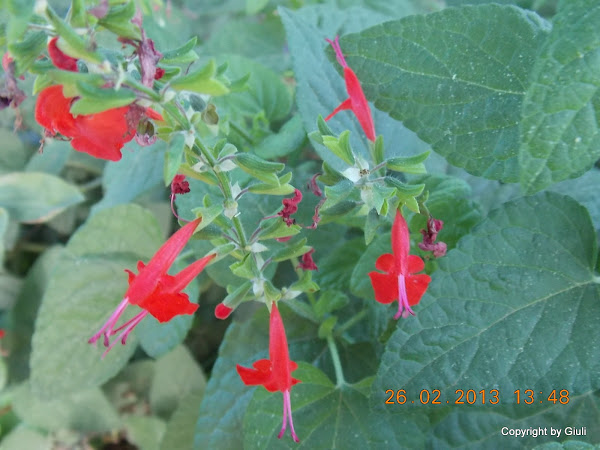 DSCN1252.JPG