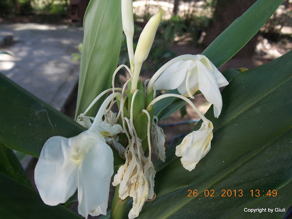 DSCN1253.JPG