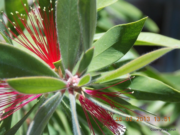DSCN1255.JPG