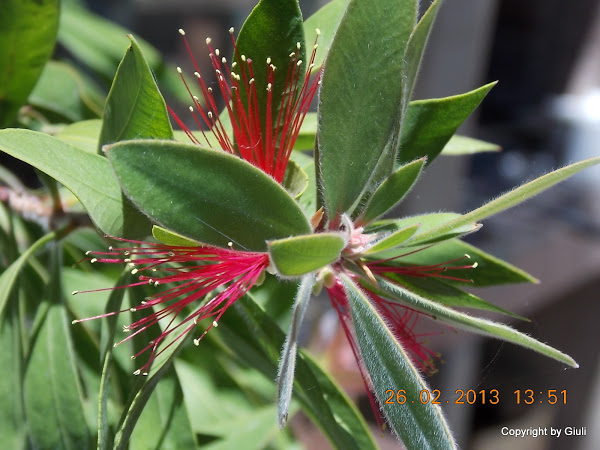 DSCN1257.JPG