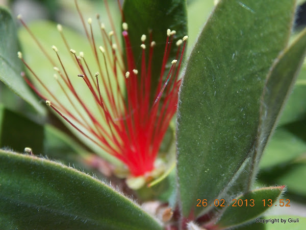 DSCN1258.JPG