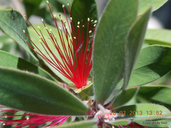 DSCN1259.JPG