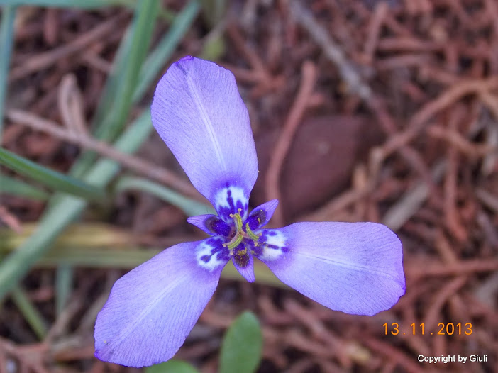 DSCN1268.JPG
