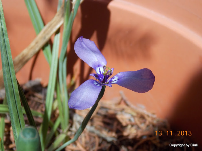 DSCN1269.JPG