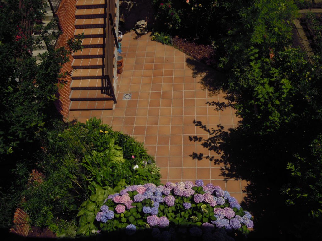 DSCN1270.JPG