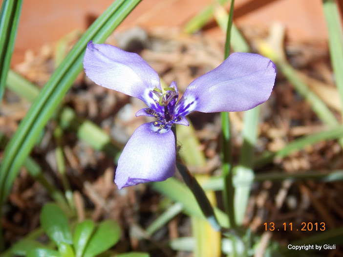 DSCN1270.JPG