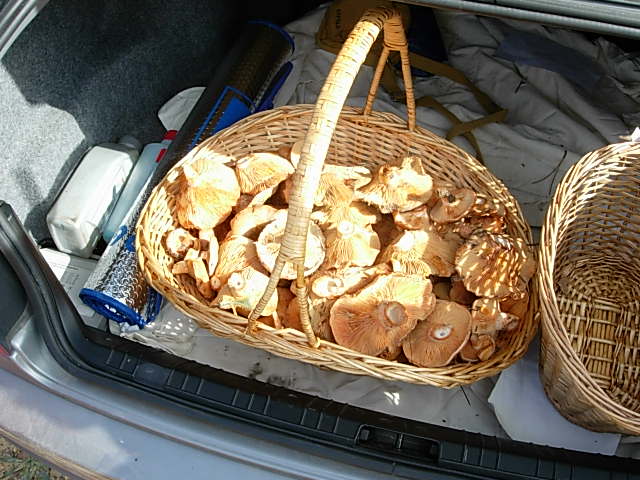 DSCN1275.JPG