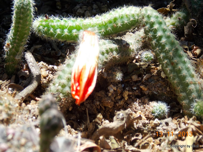 DSCN1277.JPG
