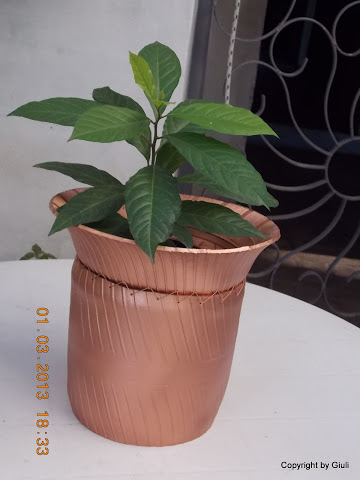 DSCN1278.JPG