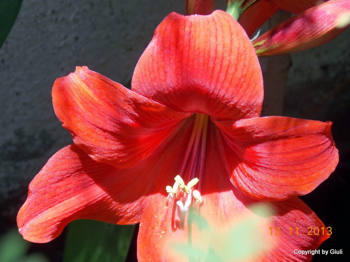 DSCN1280.JPG
