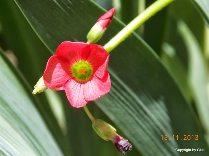 DSCN1282.JPG