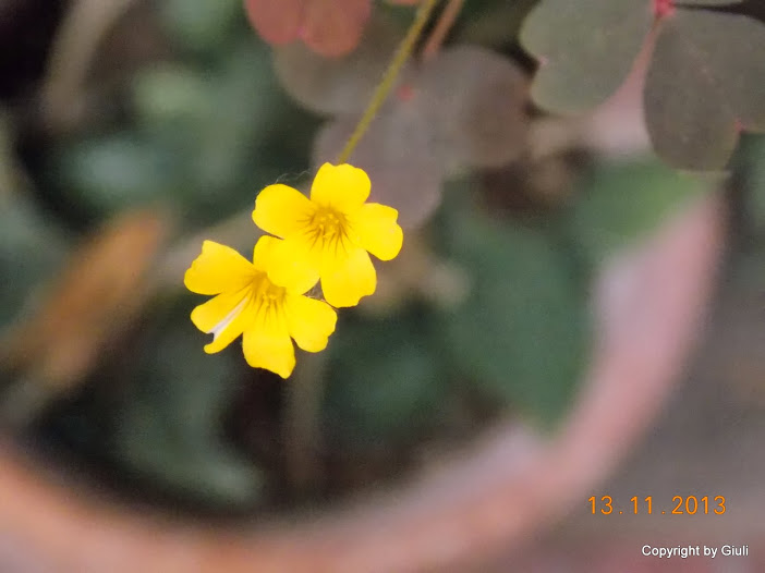DSCN1287.JPG