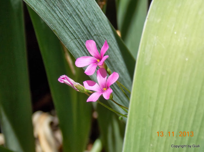 DSCN1288.JPG