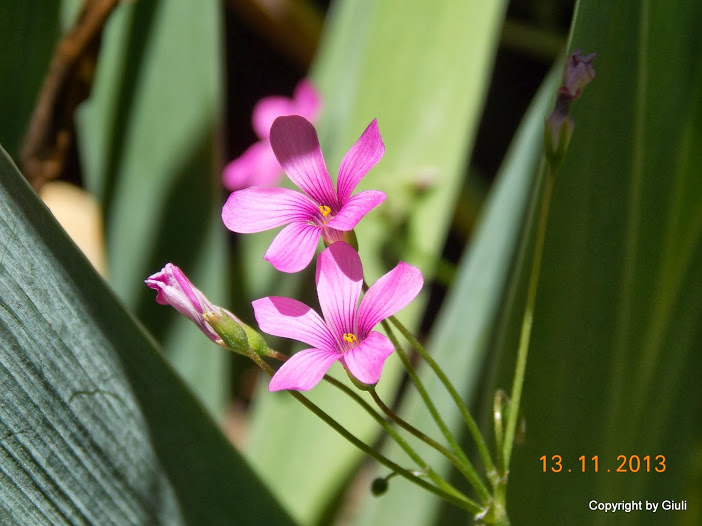 DSCN1289.JPG