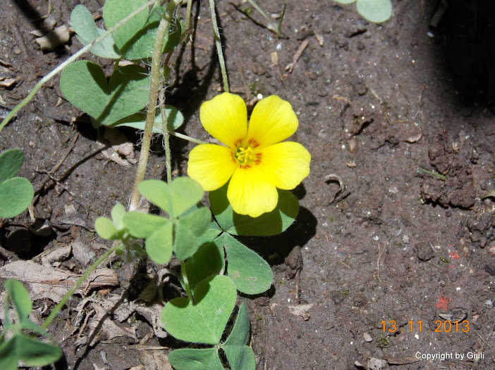 DSCN1292.JPG