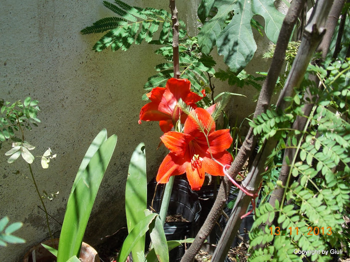 DSCN1320.JPG