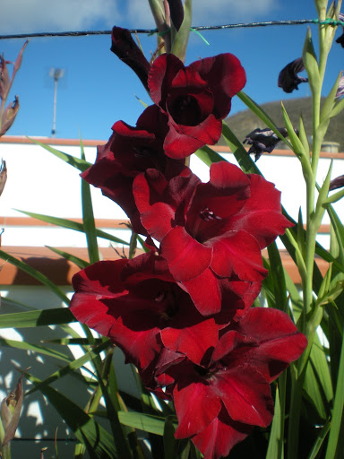 DSCN1326.JPG