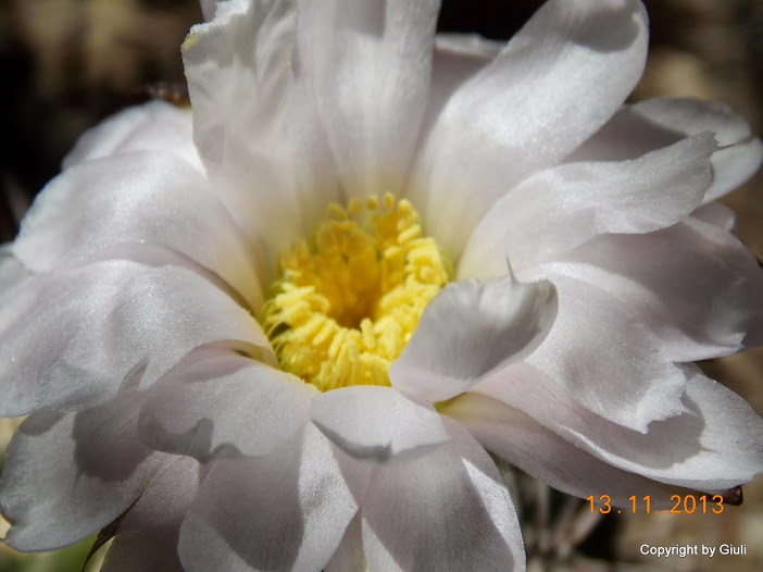 DSCN1327.JPG