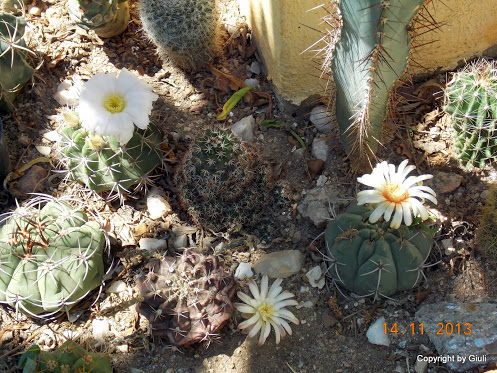 DSCN1328.JPG