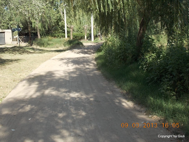 DSCN1337.JPG