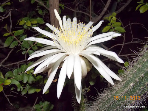 DSCN1345.JPG