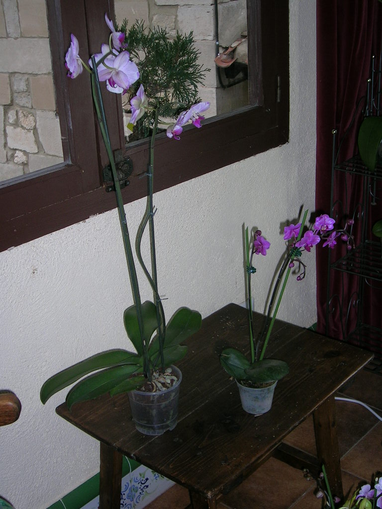 DSCN1350.JPG