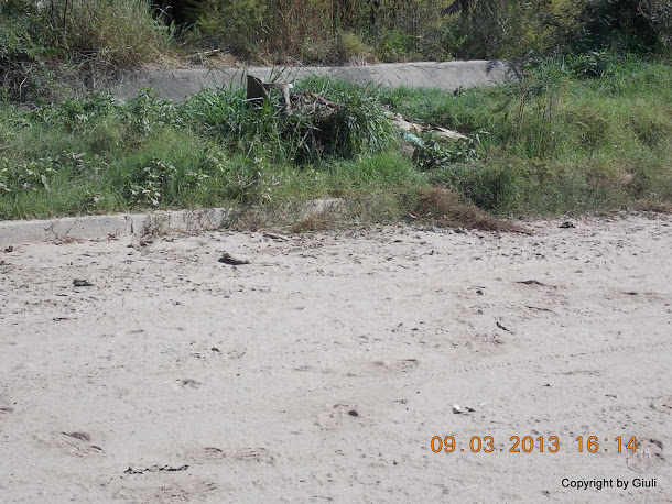 DSCN1350.JPG