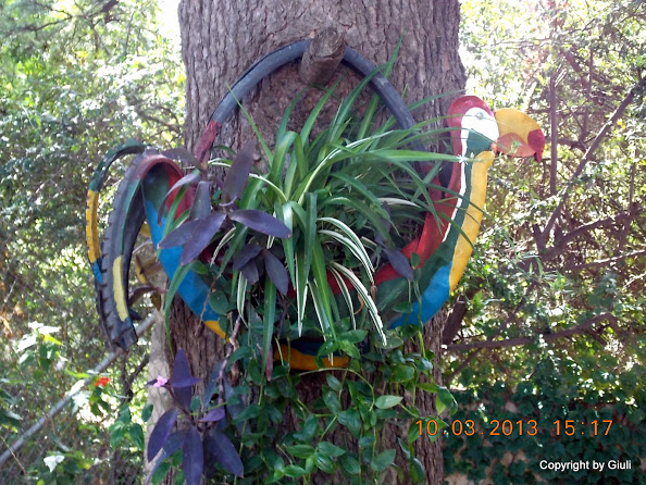 DSCN1352.JPG