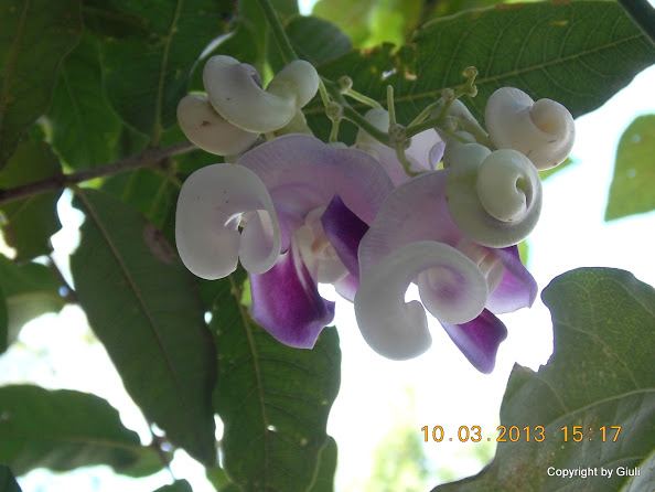 DSCN1353.JPG