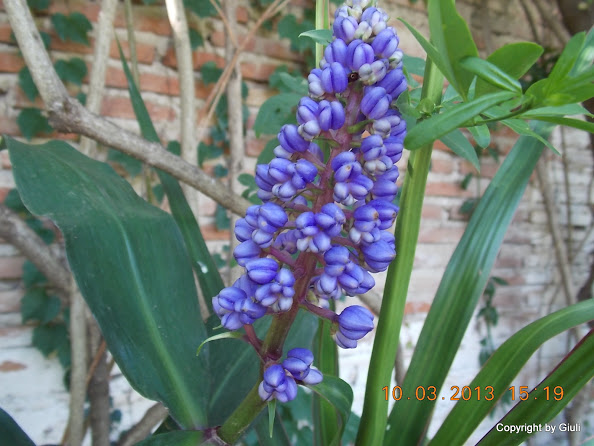DSCN1356.JPG
