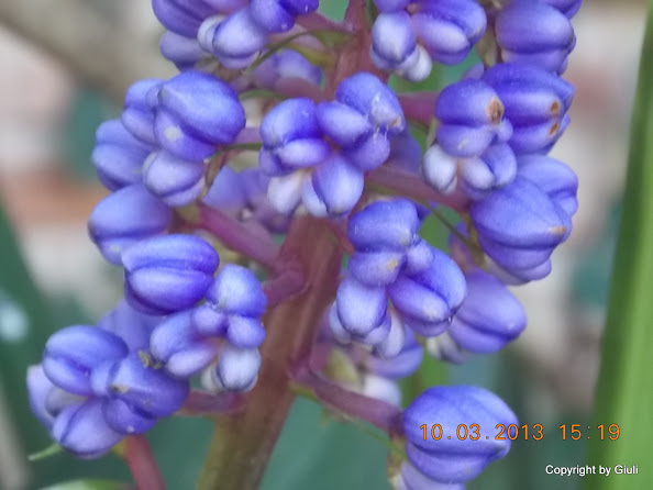 DSCN1357.JPG